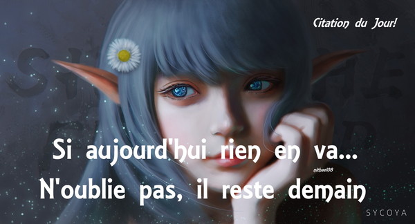 du jour