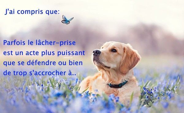 citations sur le lâcher prise