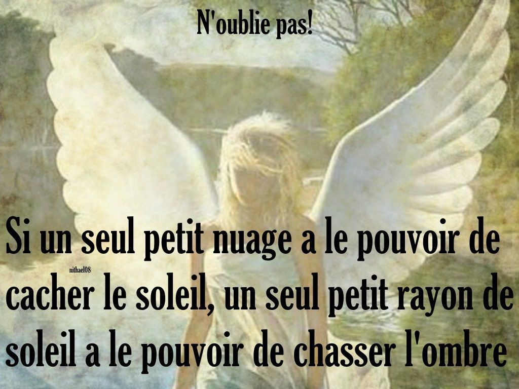 N Oubli Pas Ou N Oublie Pas N'oublie pas